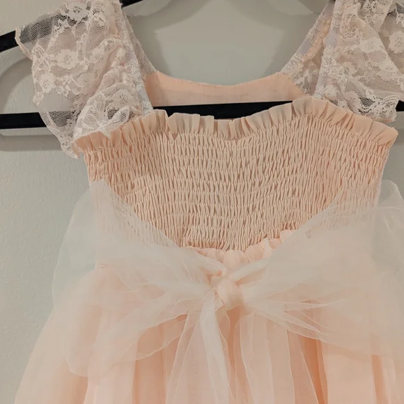 Charming Blush Lace Toddler Dress - Picture 4 of 7